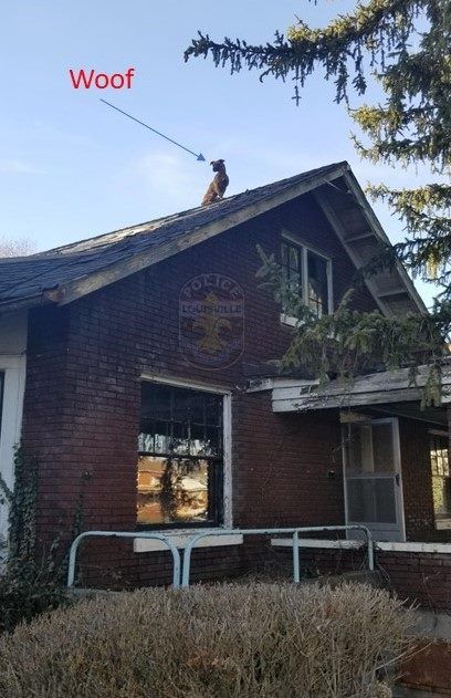LMPD rescue trapped dog 2-12-19